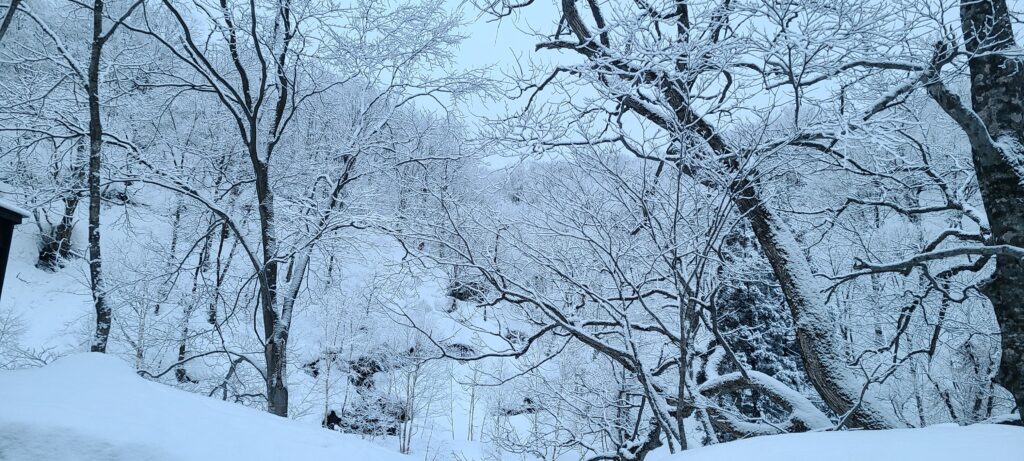 乳頭温泉郷 六庵 露天風呂 雪景色