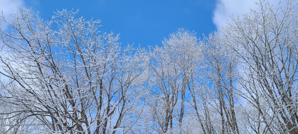 乳頭温泉郷 六庵 雪景色