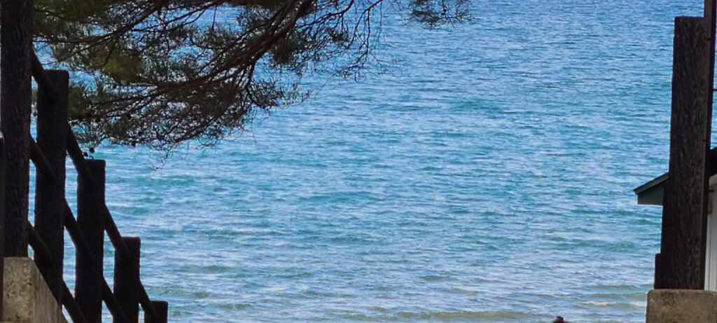 田沢湖 湖面 きれいな青