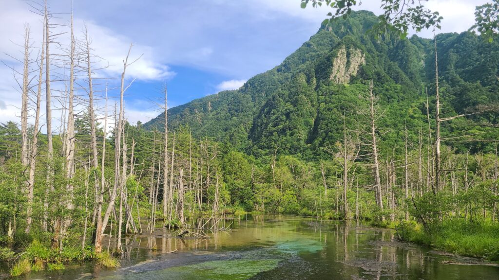 上高地　岳沢湿原