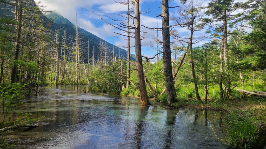上高地　岳沢湿原