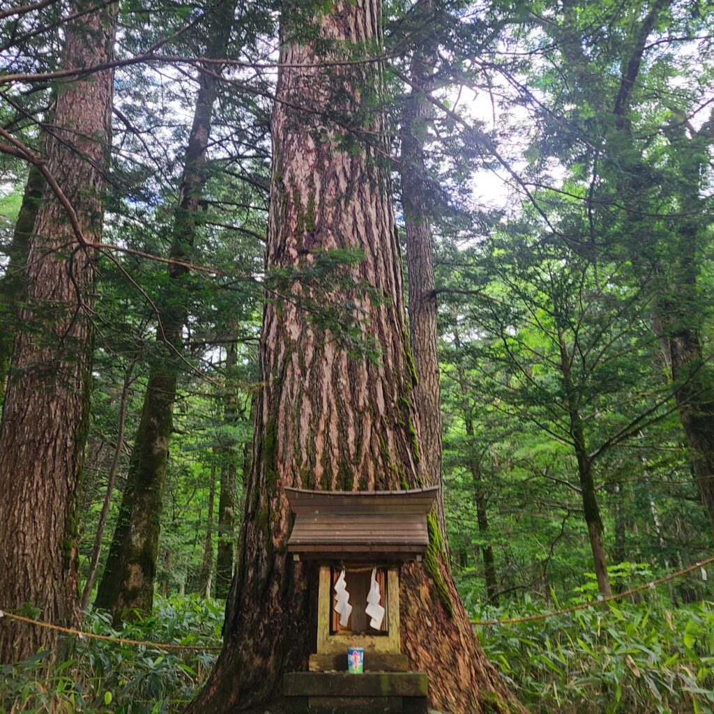 上高地　大山大明神