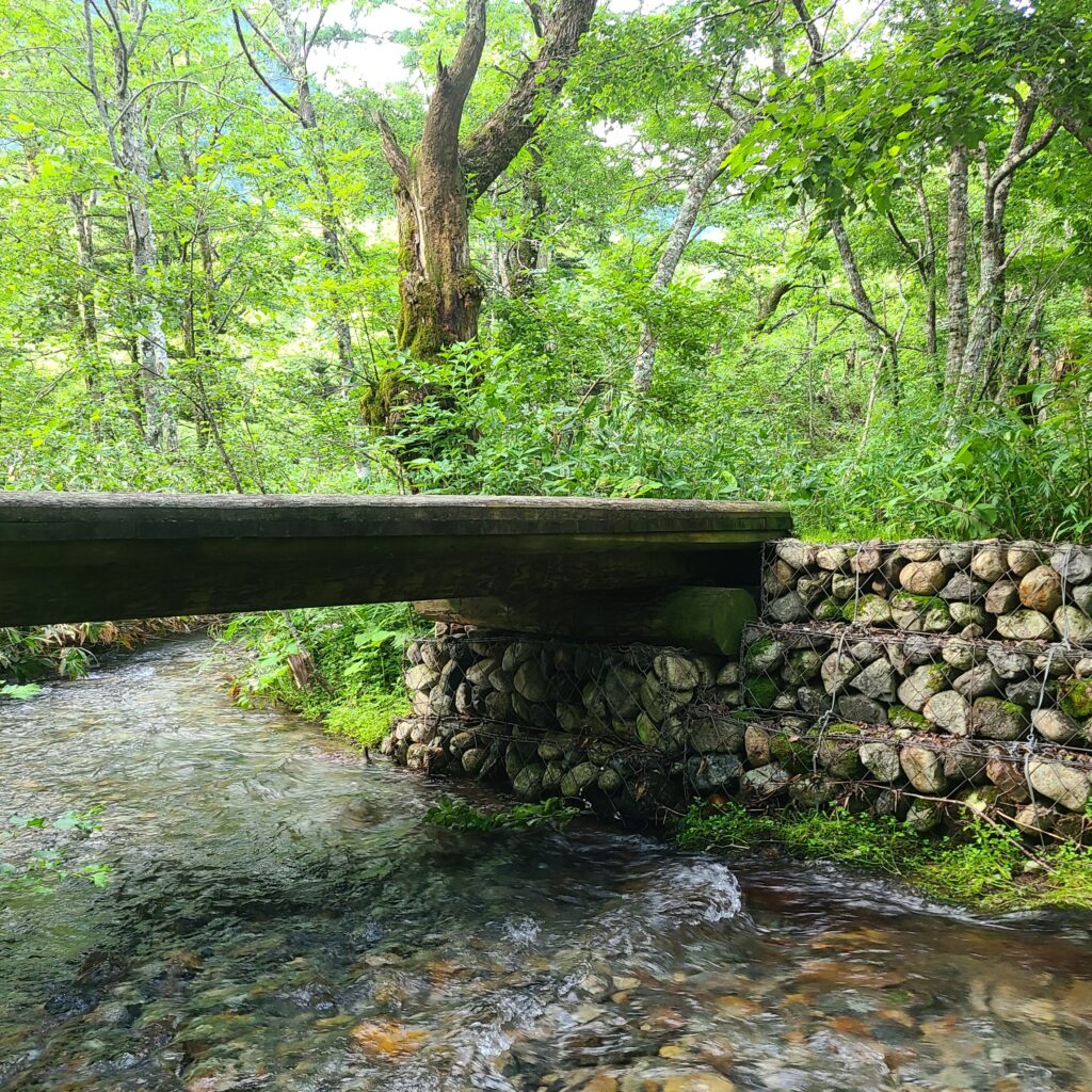 上高地　岳沢湿原