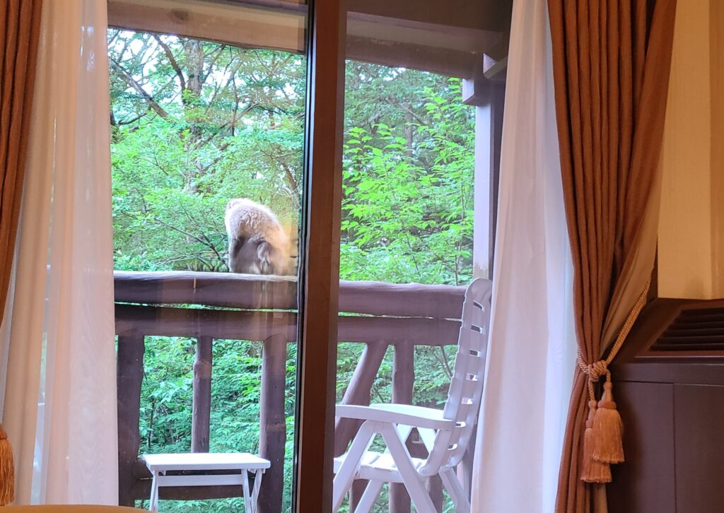 上高地帝国ホテル　バルコニー　サル