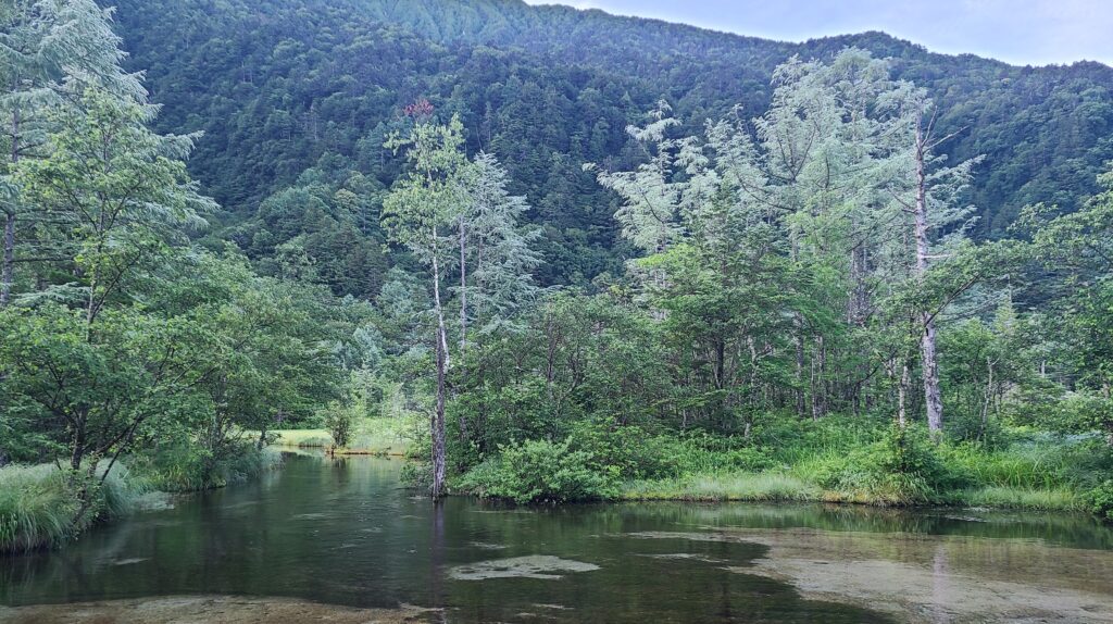 早朝の上高地　田代池
