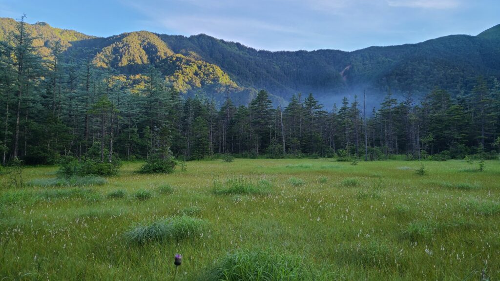 早朝の上高地　田代湿原