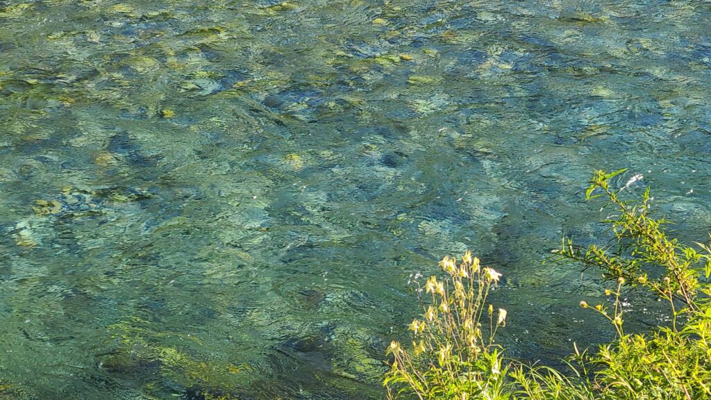 早朝の上高地　梓川沿いの歩道