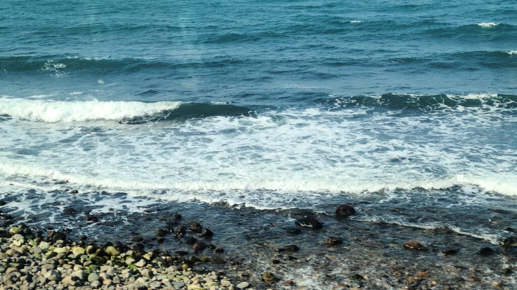 リゾートしらかみ　日本海　車窓からの景色