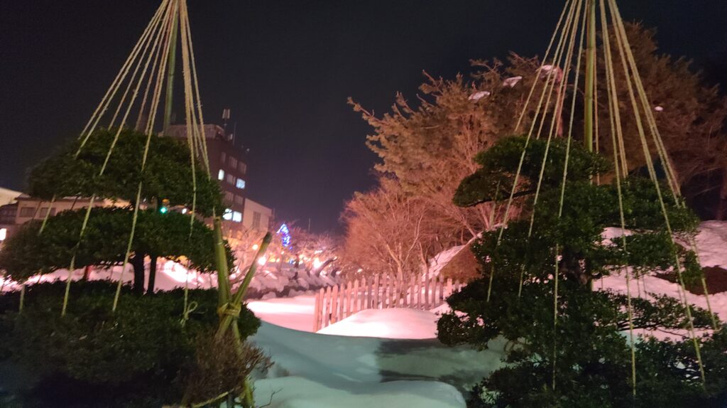 弘前　冬に咲くさくらライトアップ