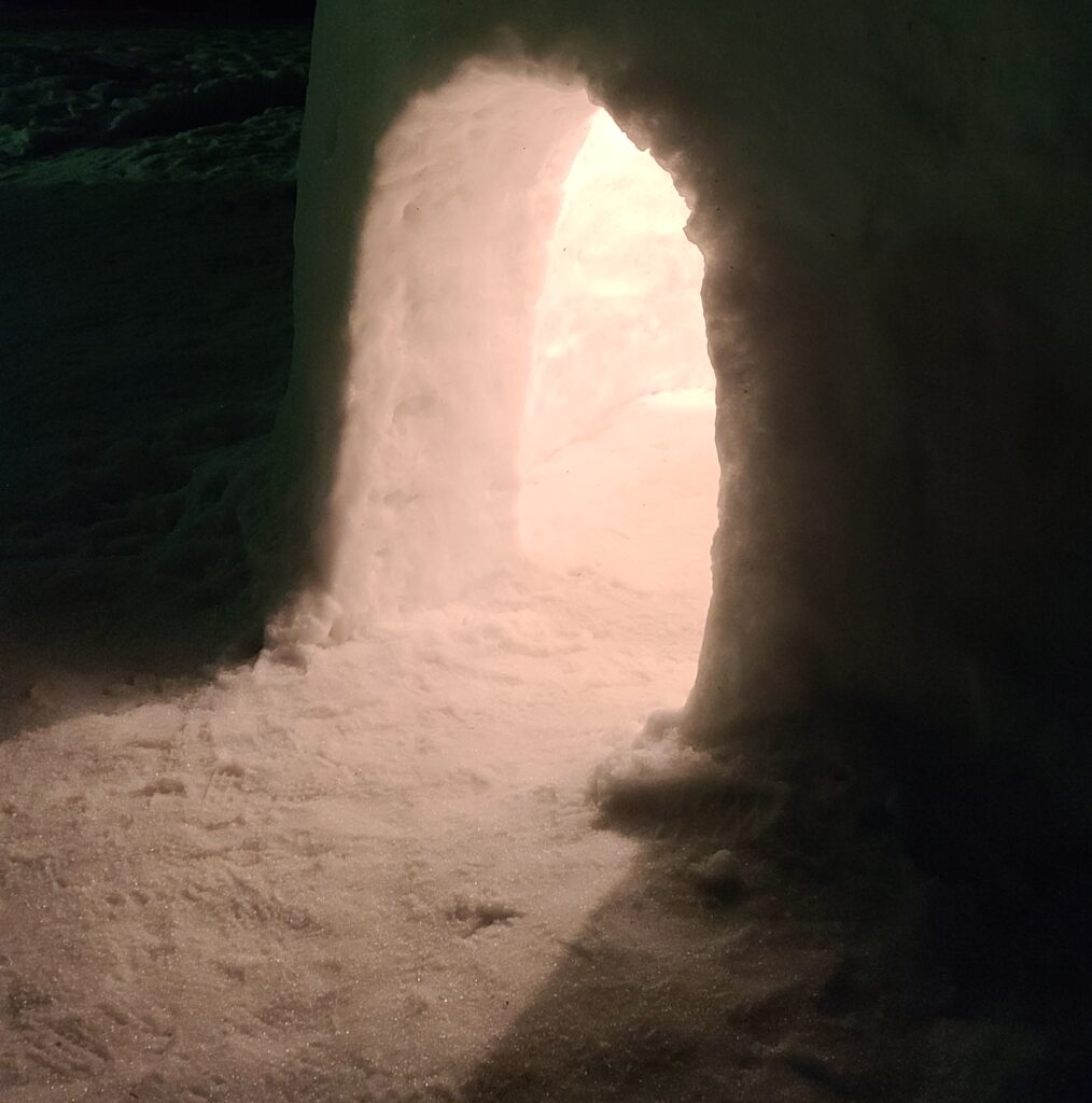 横手公園のかまくら