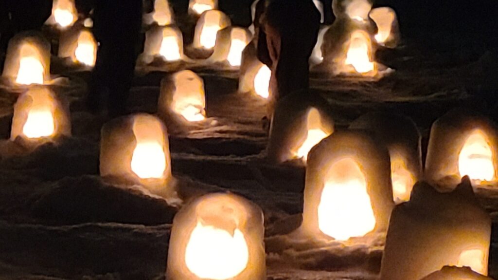 蛇の崎川原のかまくら近影