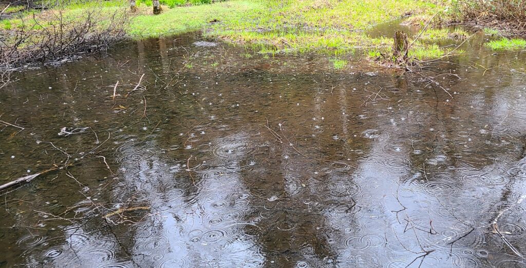 上高地　雨の風景