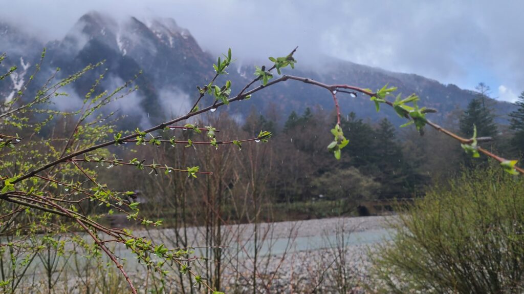 上高地　雨の風景